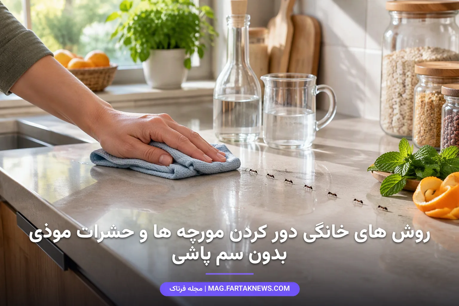 از بین بردن حشرات خانگی بدون سم