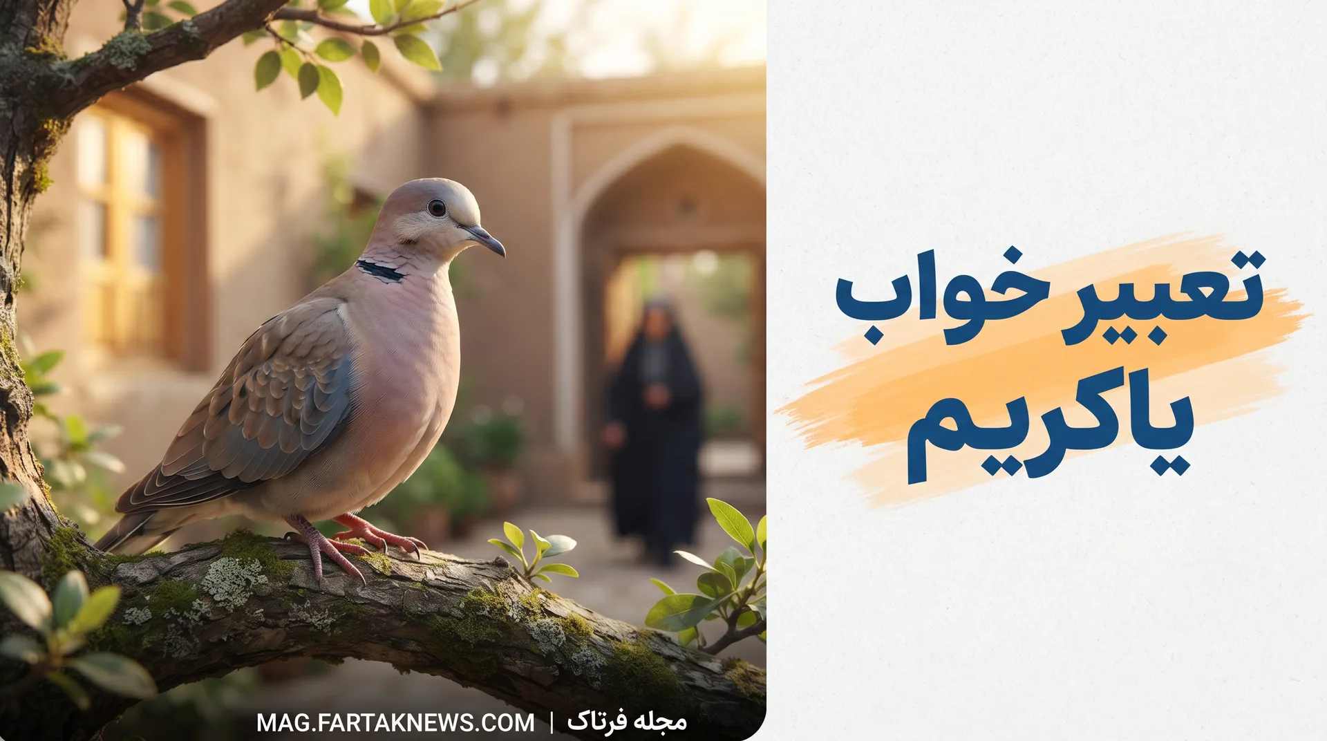 تعبیر خواب یاکریم