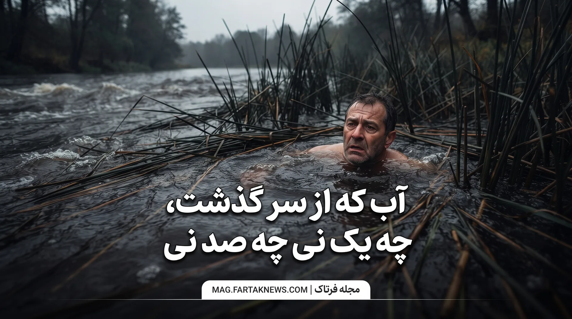 ضرب‌المثل «آب که از سر گذشت، چه یک نی چه صد نی»
