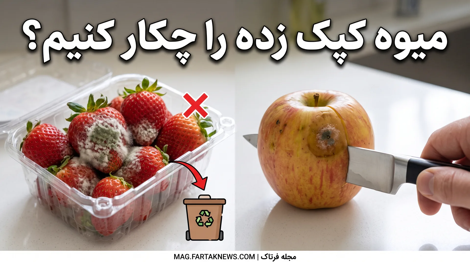 میوه کپک زده را چکار کنیم؟ 